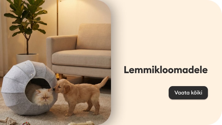 Lemmikloomade toodete tutvustus, mis rõhutab koerte heaolu ja veega varustamist õues.